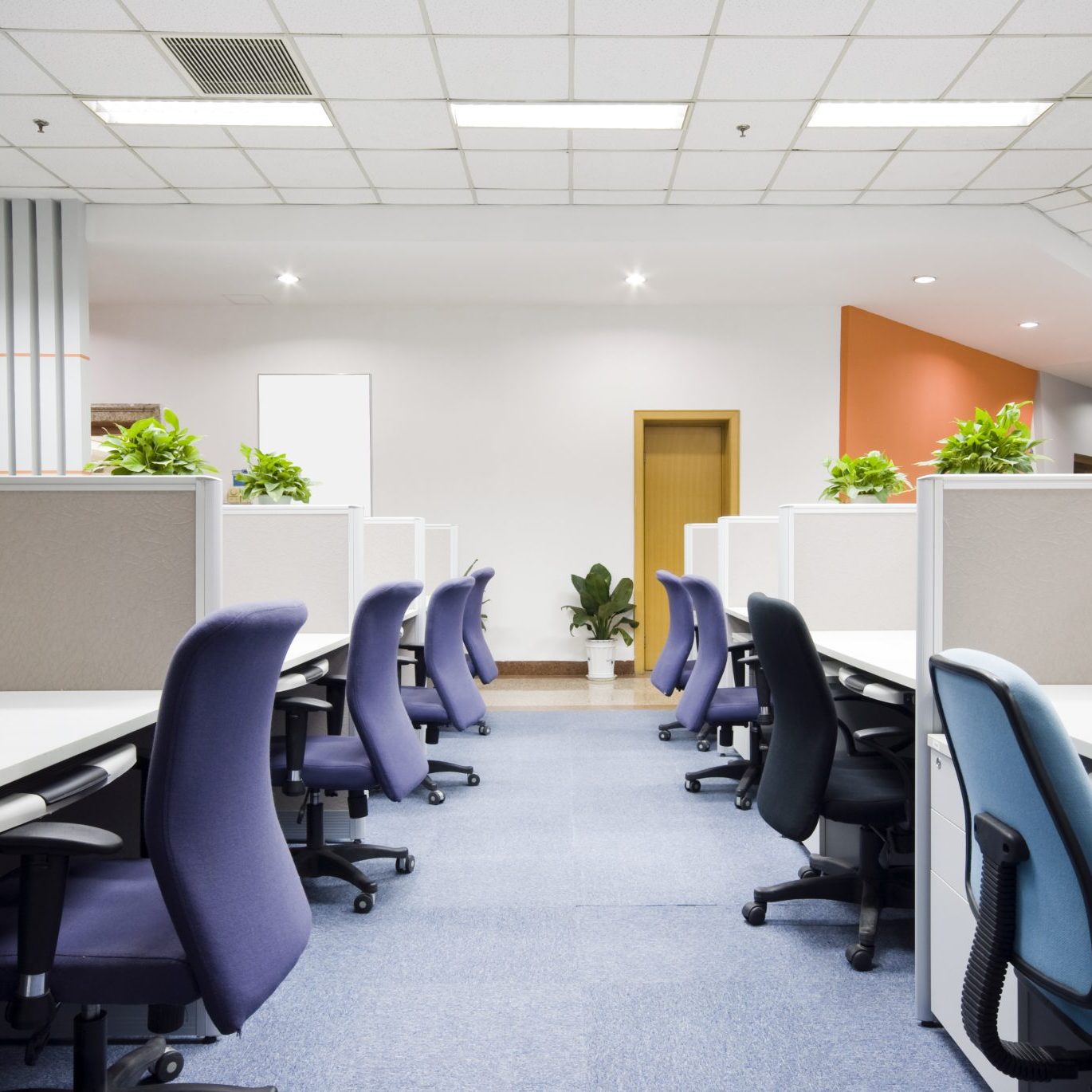 Cleaning Services